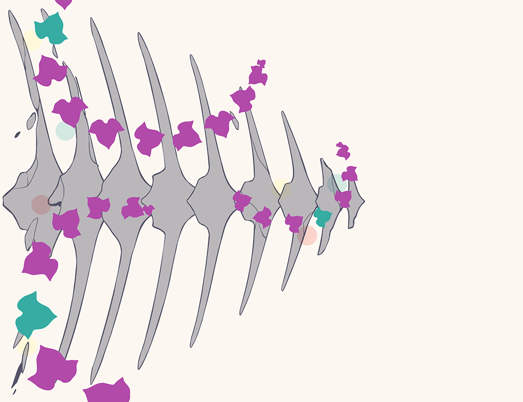 右脳シアトリカル